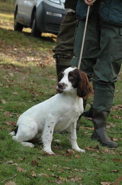 CH. Baïta bichette De maurin